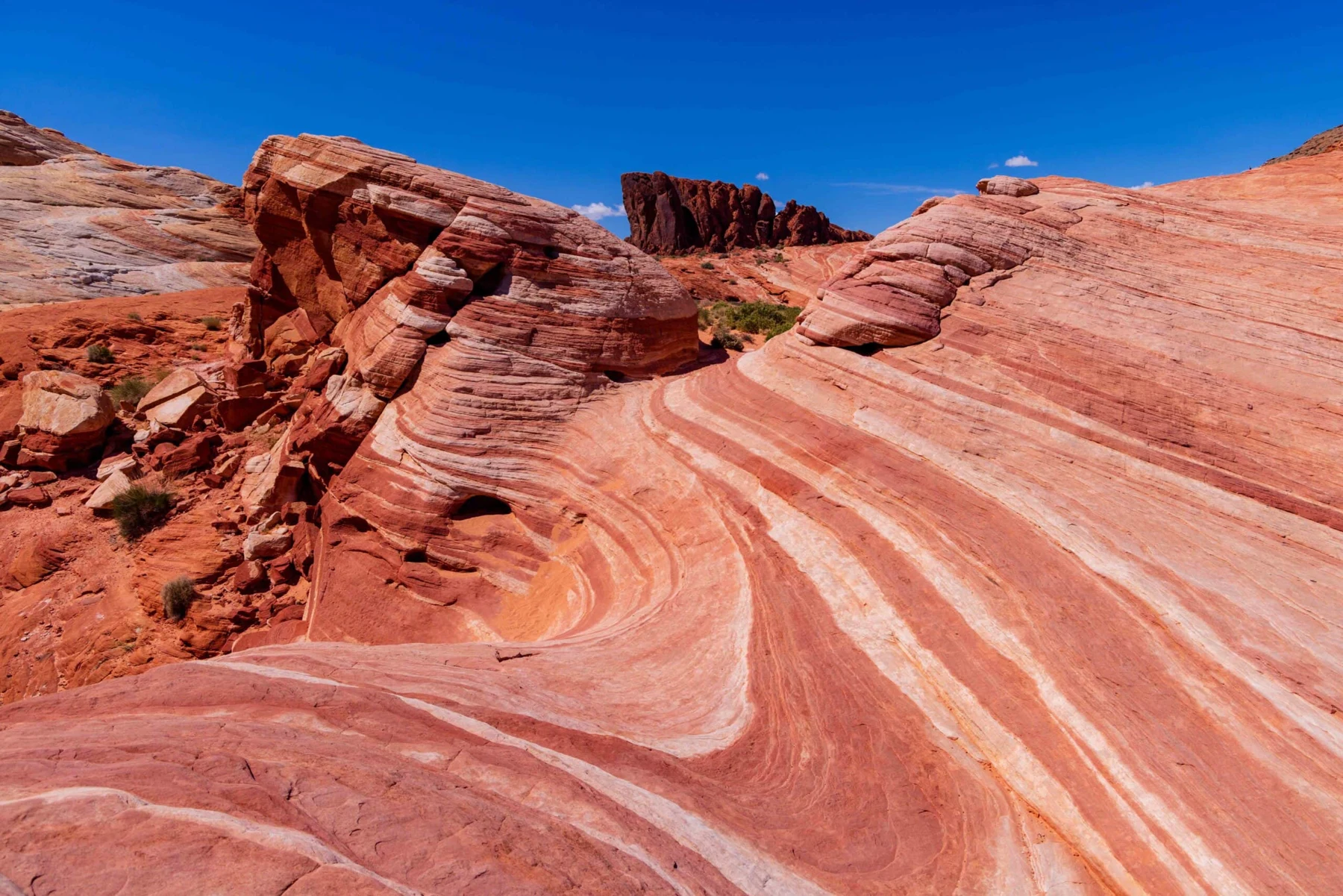 Sculptural red and pale sandstone formations at Nevada’s Valley of Fire